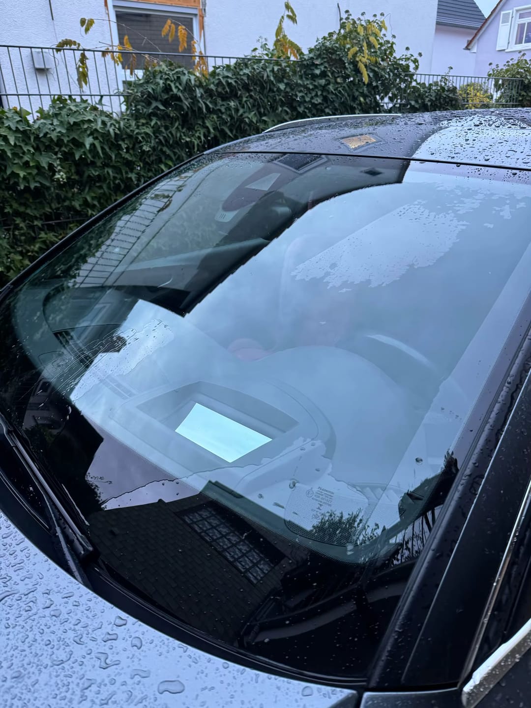 Clear Vision Genuine Review